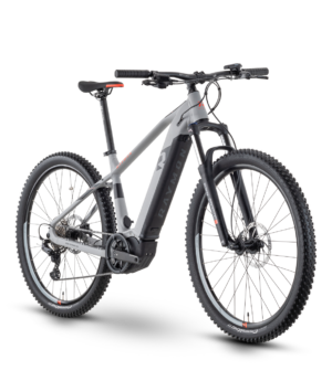 RAYMON  HardRay E-6.0 29"